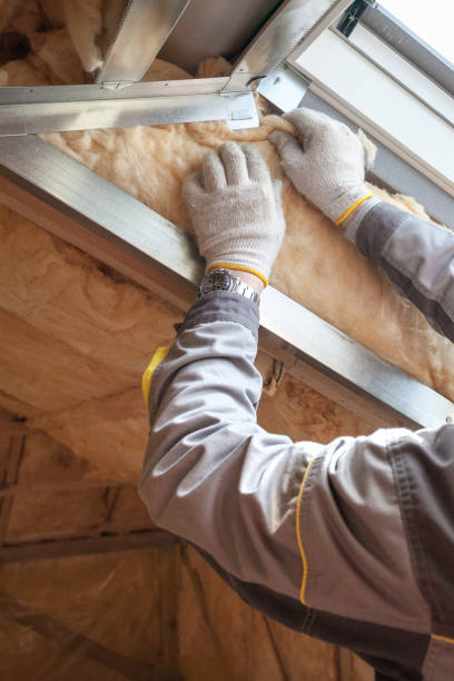 Best Residential Insulation in Elmont, NY